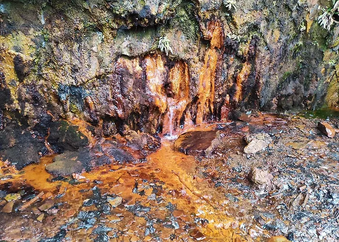 La Kaz A Cisco - Maison Independante Avec Garage A Velo-moto